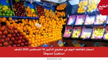 أسعار الفاكهة اليوم في مطروح الاثنين 18 أغسطس 2025 تشهد استقراراً ملحوظاً